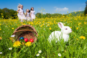 Leia mais sobre o artigo Como fazer caça ao ovo de Páscoa? Veja 10 dicas de ouro