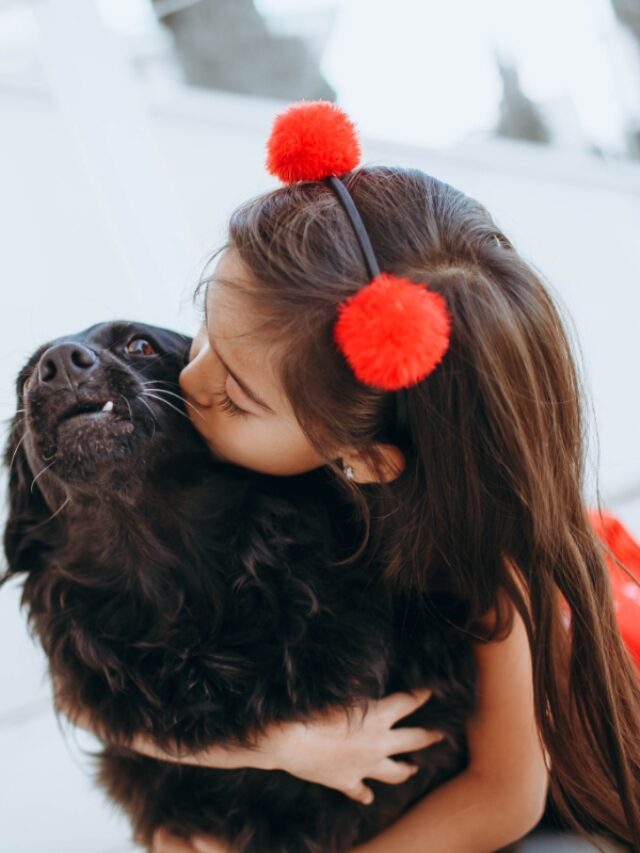 As 6 melhores raças de cachorro para crianças